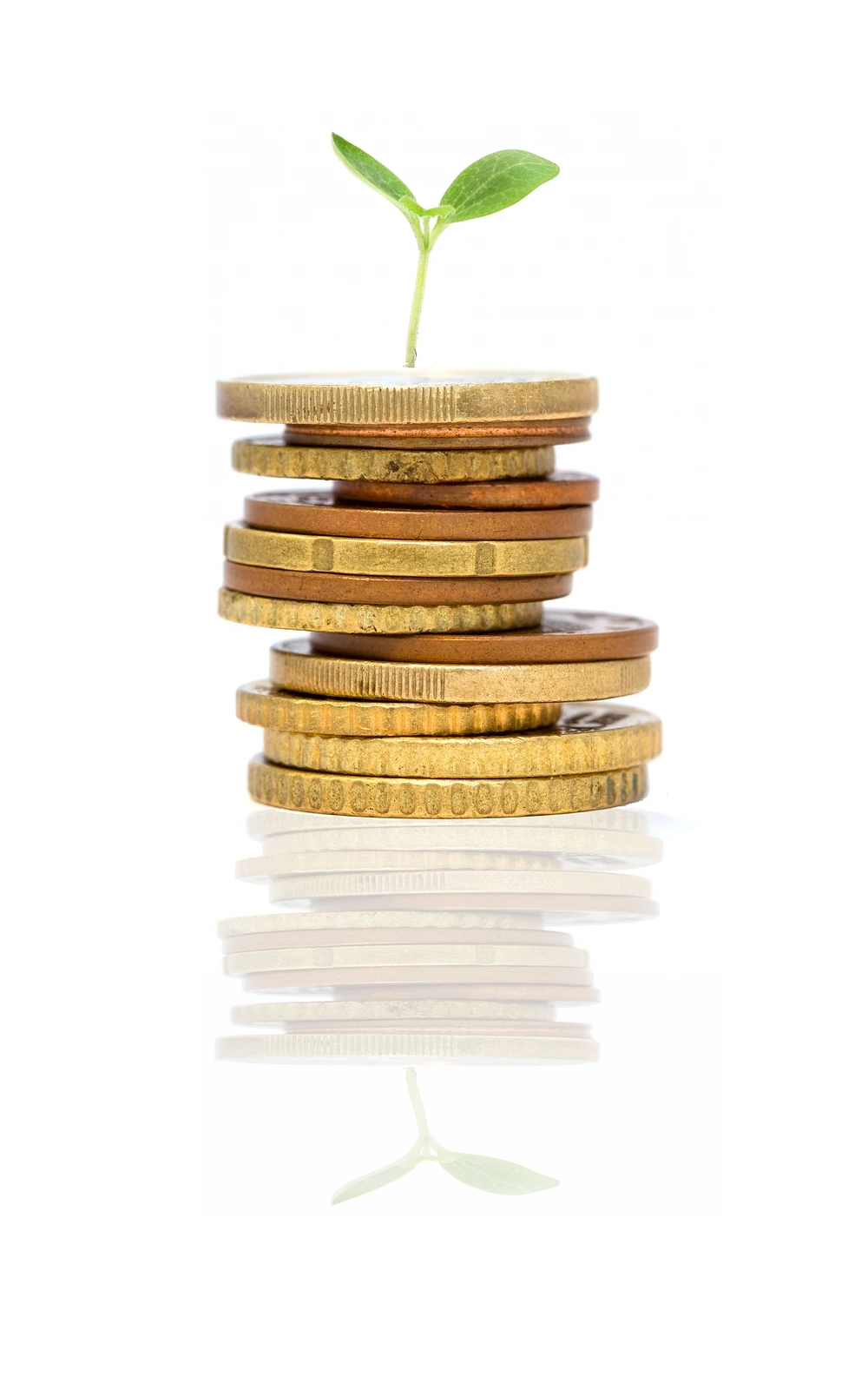 Investissement digital rentable : tarifs des sites internet, SEO local et réseaux sociaux de DigitalProLab dans le Var